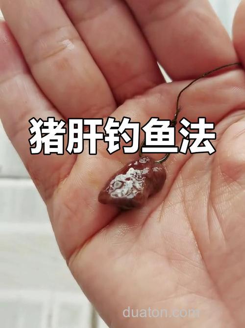 猪肝剁碎跟全能香饵料搅拌钓鱼怎么样？