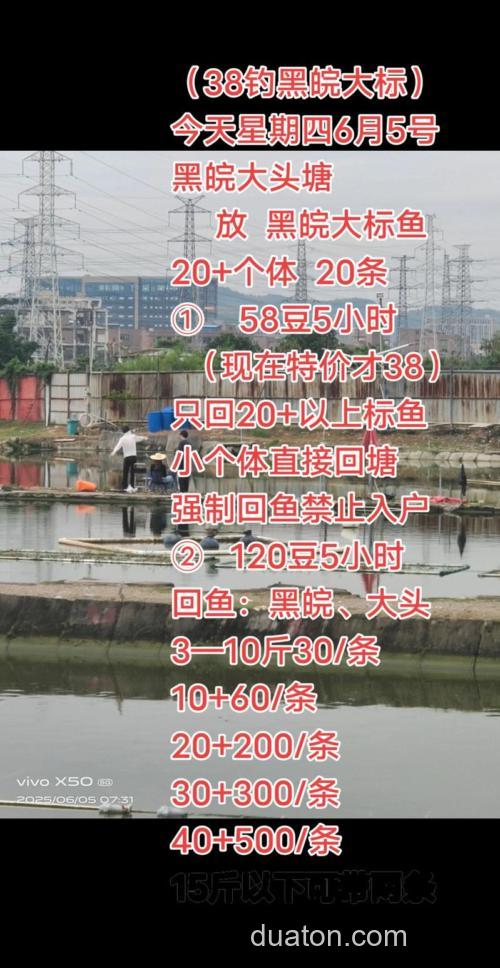 黑皖什么时间段最好钓?