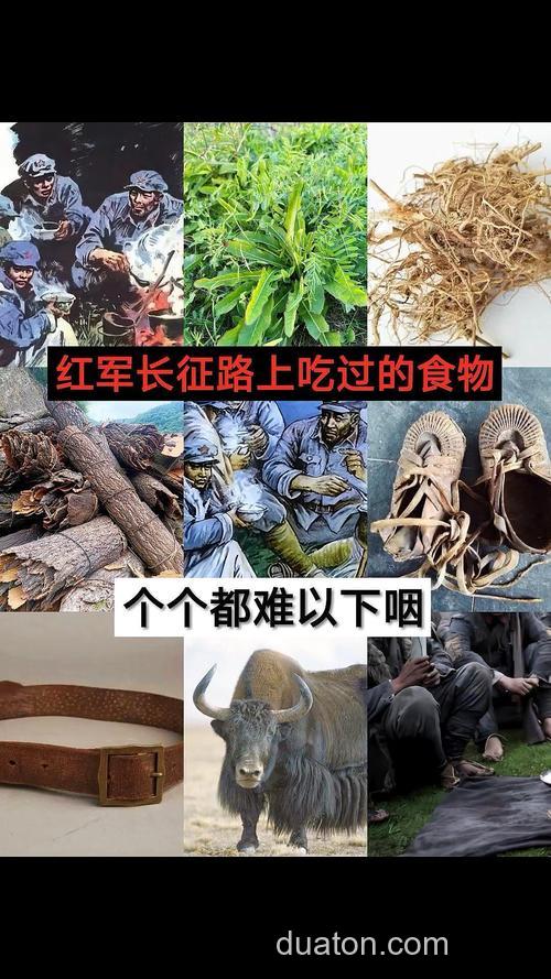 长征时红军吃的食物,你敢吃哪一种?