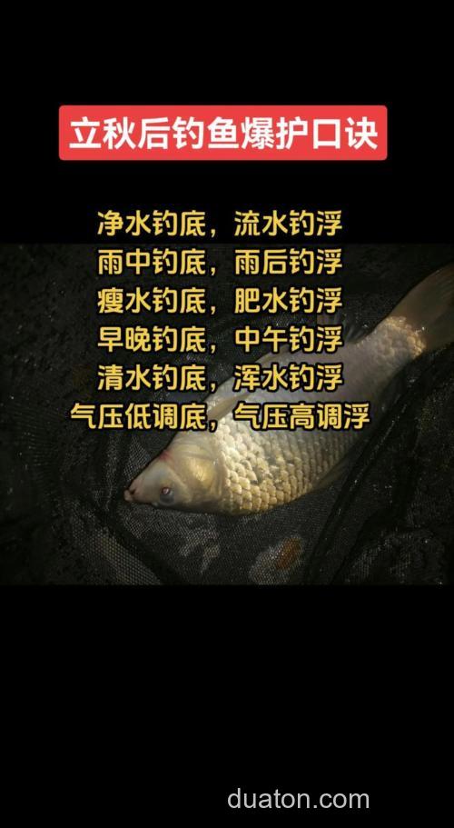 秋天雨后钓鱼怎么钓？掌握技巧能爆护！