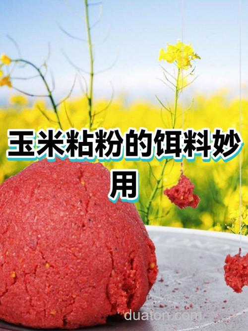 玉米粉商品饵料配方？