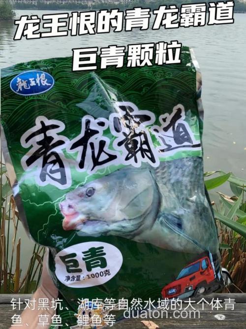 青鱼喜欢什么颜色的饵料?