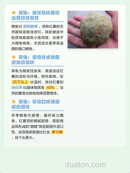 番薯钓鱼最佳配方?