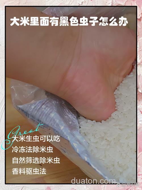 变质的大米如何制作鱼饵