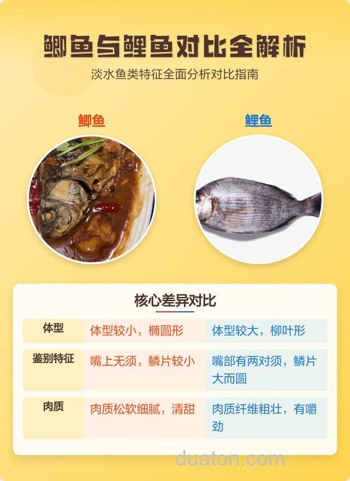 鲫鱼和鲤鱼的区别你真的知道吗