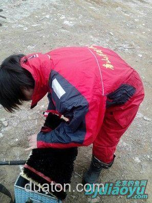 陡河水库掀起2014的冰钓大幕[雷霆三爷]