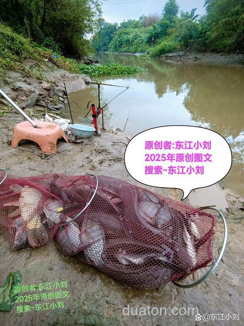 周末斑竹湾水库野钓-还是鲫鱼多