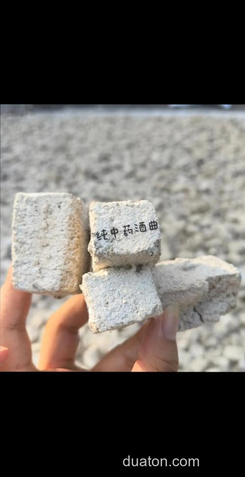 酒曲是什么东西?在哪里可以买到