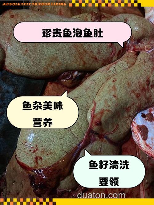 吃动物内脏的鱼有哪些?