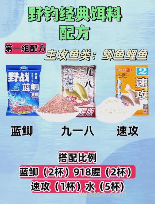 钓野鱼的最佳饵料?