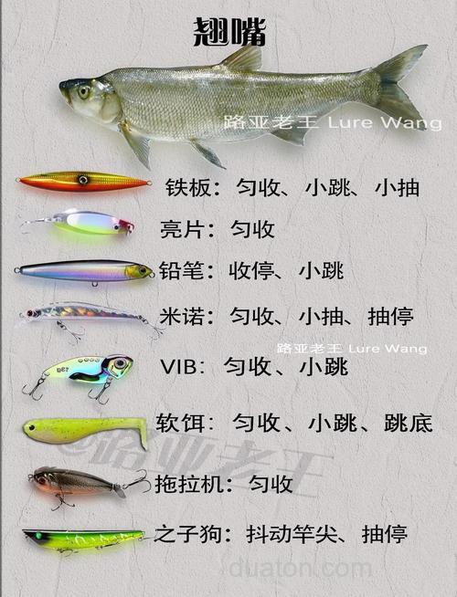 公饵的正确配方和用途?