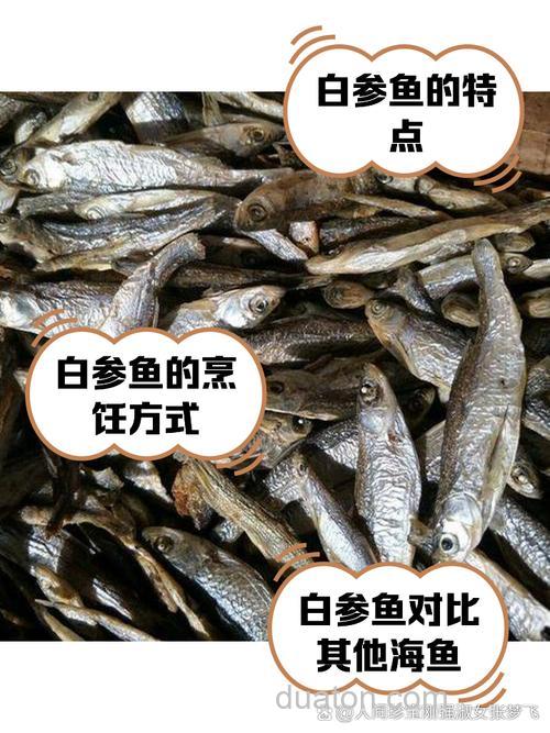 白参鱼的食用方法?