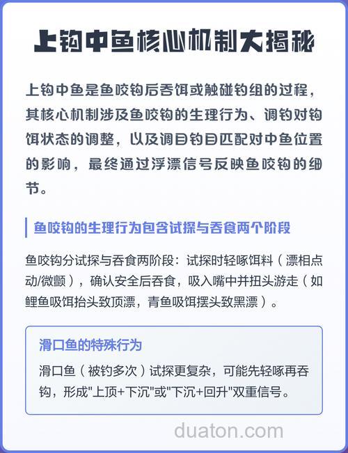 为什么总是上钩中鱼呢？