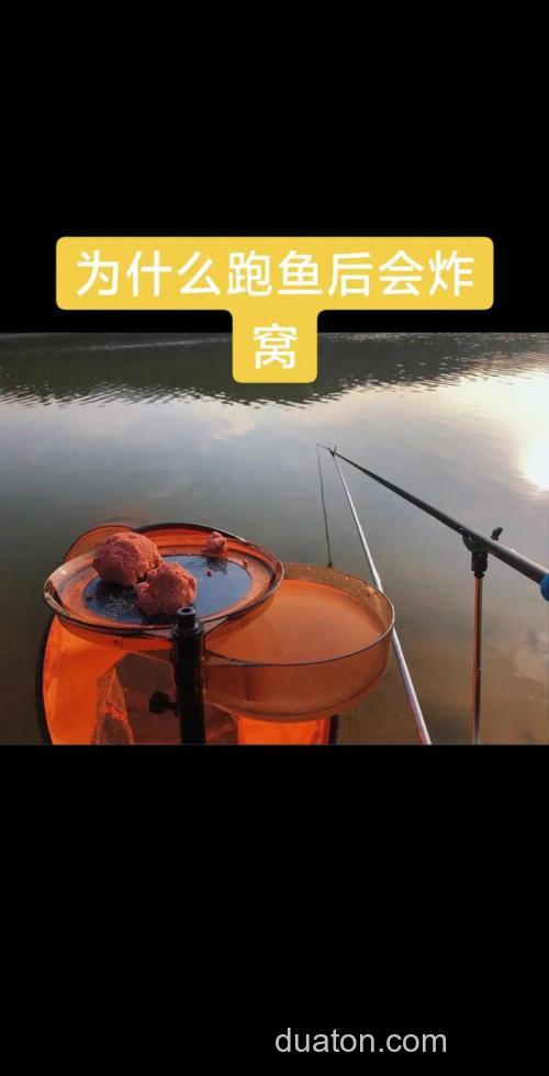 炸窝以后多久可以钓鱼？