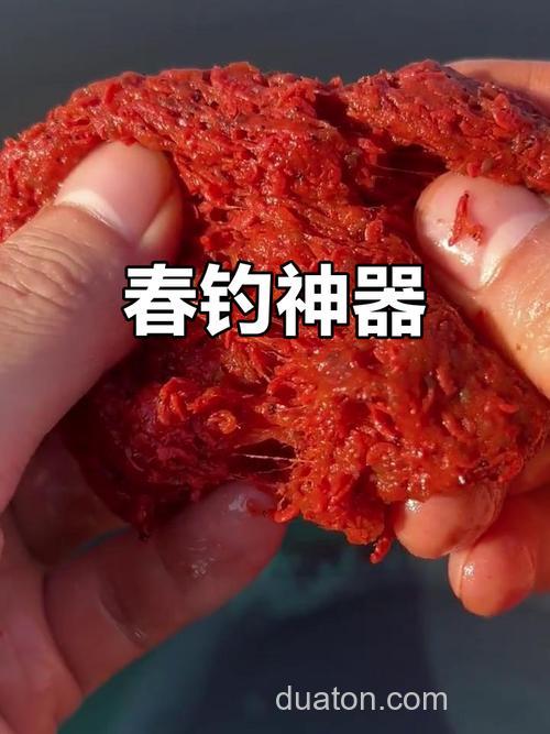 春节钓鲫鱼用什么饵料最好?
