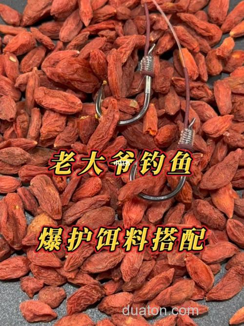 枸杞鱼饵的做法?