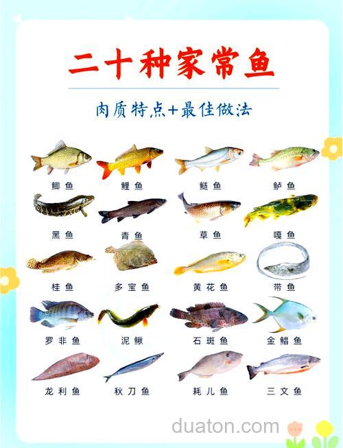 草鱼有那几种做法
