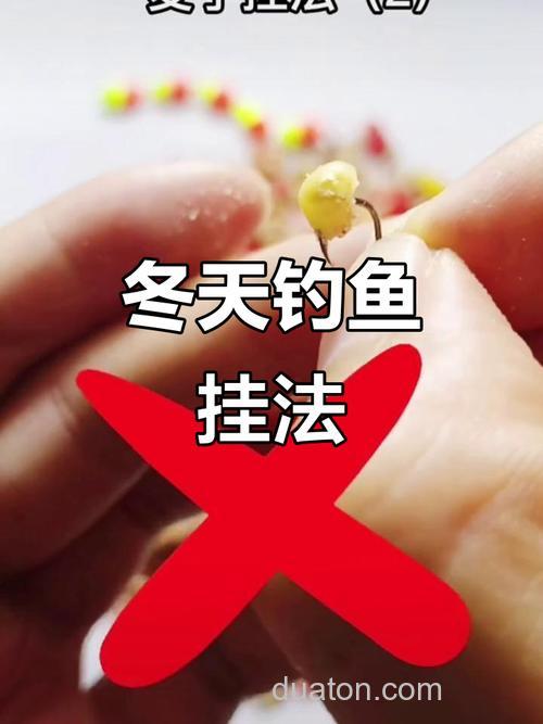 冬季可以用麦子钓鱼吗