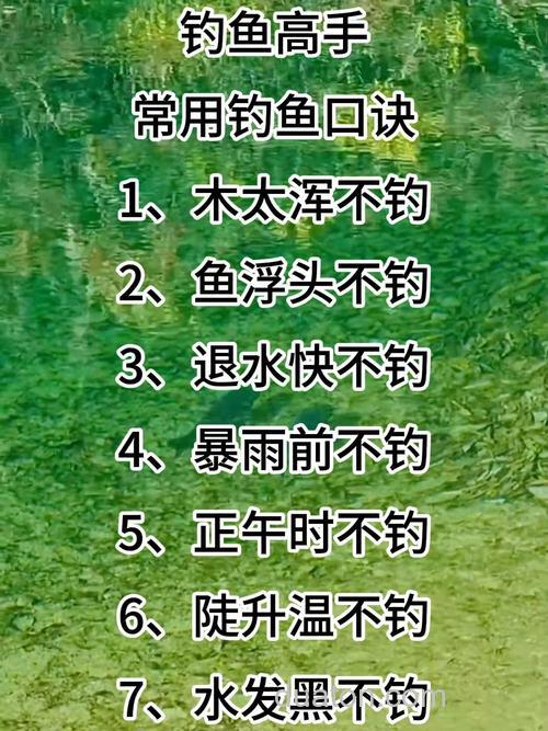 夏季钓鲤鱼的几大诀窍!