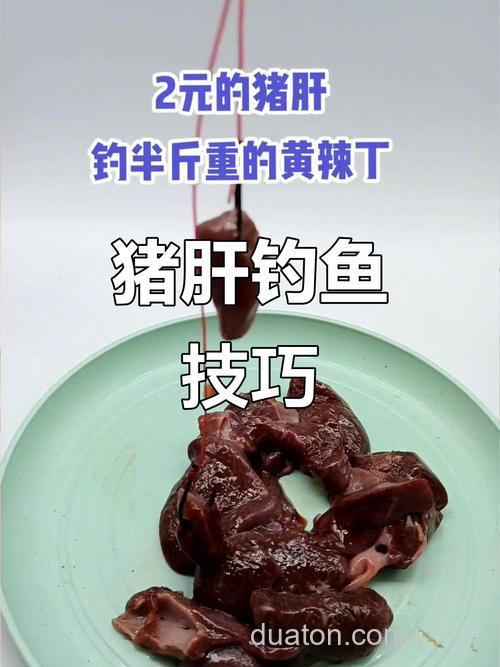 用瘦肉和猪肝那个钓鱼好