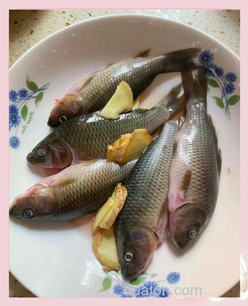 禾花鱼吃米饭吗?