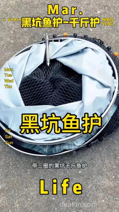 哪种鱼护不伤鱼?