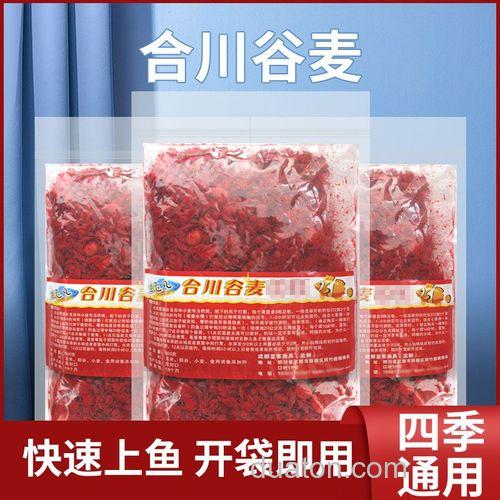 煮的麦子玉米泡什么钓鲤鱼厉害?