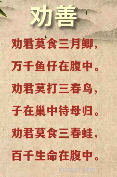 劝君莫钓三月鲫?不如钓鳜鱼试试