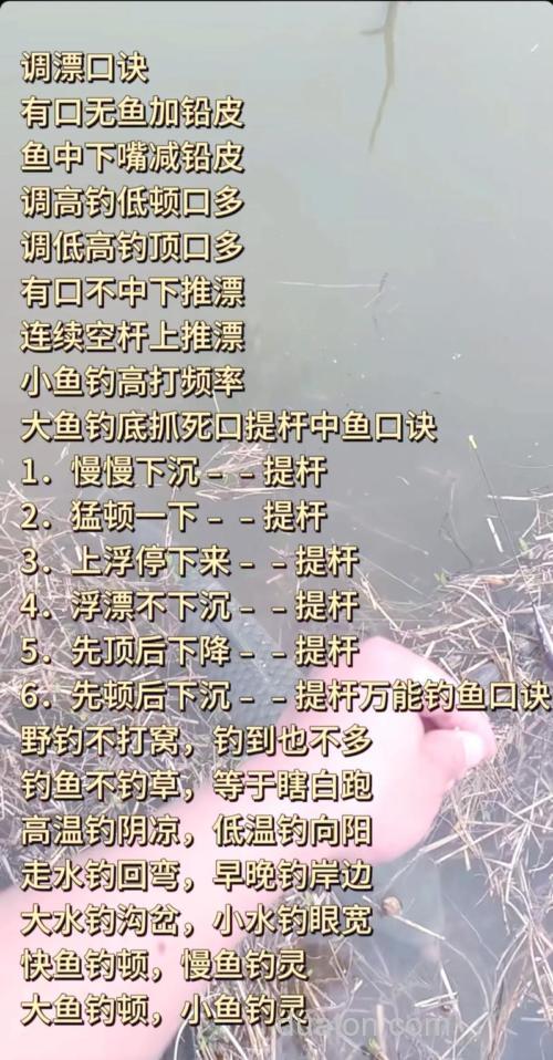 [每日一贴]什么情况下使用半水钓鲫鱼法?