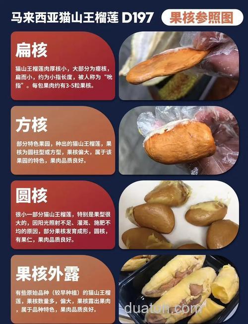 榴莲核能吃吗?