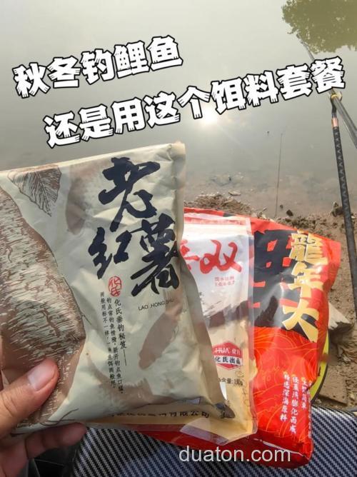 老红薯饵料钓鲤鱼怎么样?