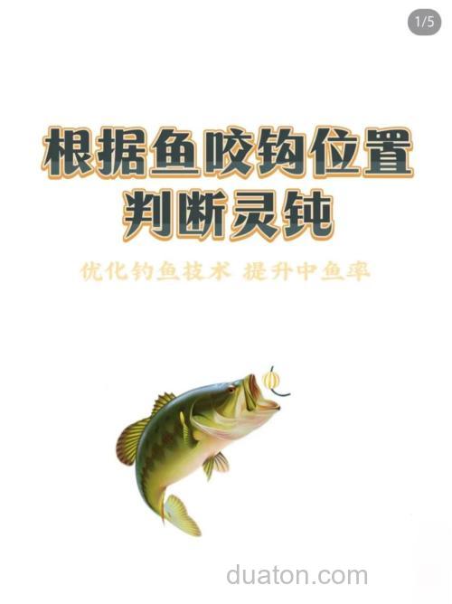 下钩中鱼是灵还是钝?