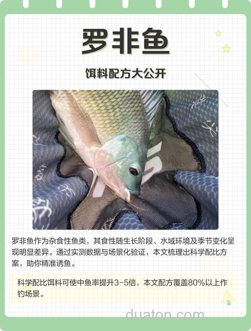 野钓罗非鱼饵料配方?