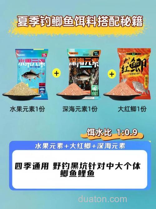 初夏钓鲫鱼鲤鱼用什么商品饵