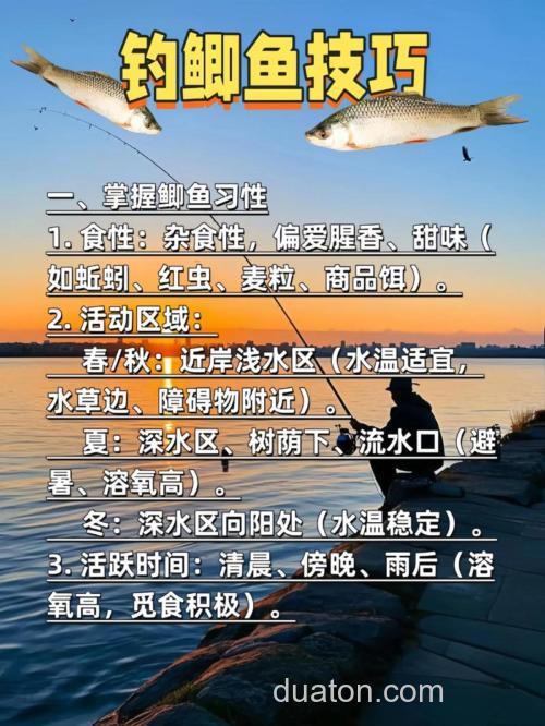 春季钓鲫鱼应该注意什么？我怎么每天都是空军来着。。。