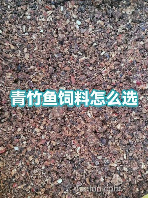 青竹鱼饵料配方?