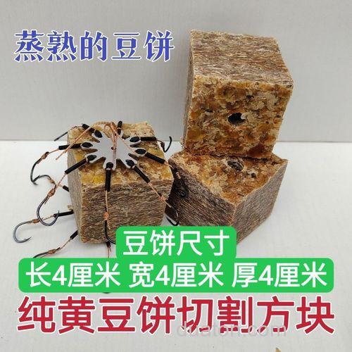适合水库野钓的爆炸钩饵料:豆饼爆炸饵