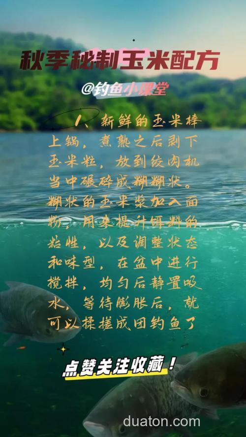 玉米钓鲫鱼饵料配制方法?