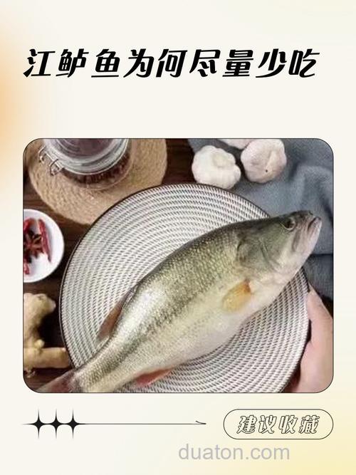 顿口不中鱼有哪些原因?
