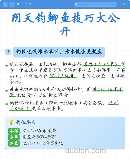 阴天10℃钓鲫鱼最佳方法?