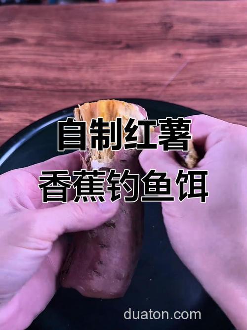 红薯和香蕉哪个钓鱼效果好?