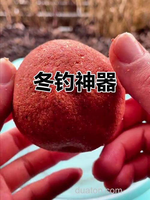 钓鲫鱼用什么饵料最好 水库冬