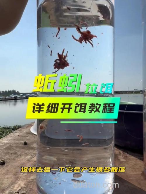 蚯拉饵料制作方法