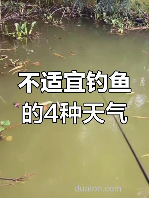 不适合钓鱼的天气有哪些?