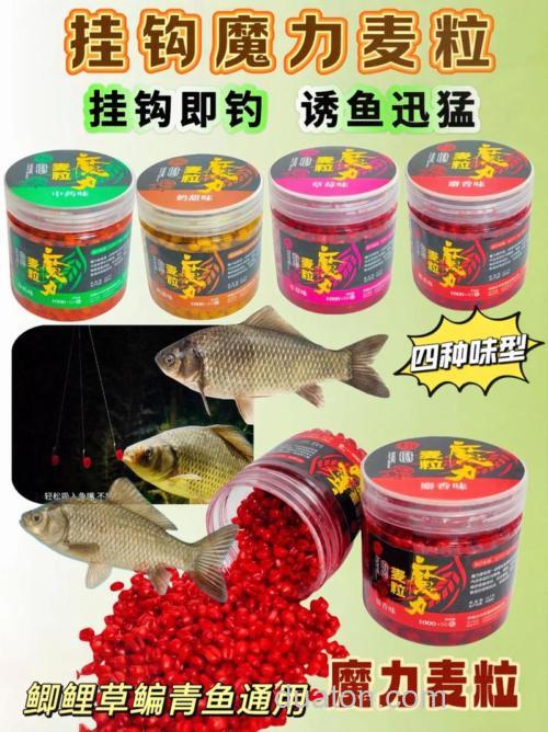 什么钓麦效果最好?