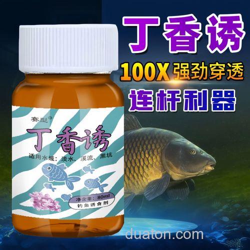 钓鲫鱼鲤鱼不开口?试试这款丁香小药