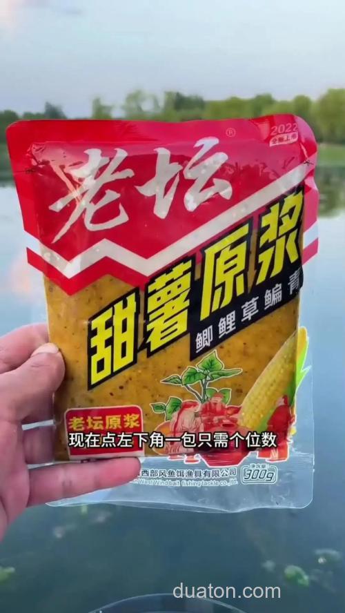 甜薯原浆钓鲤鱼好用吗?