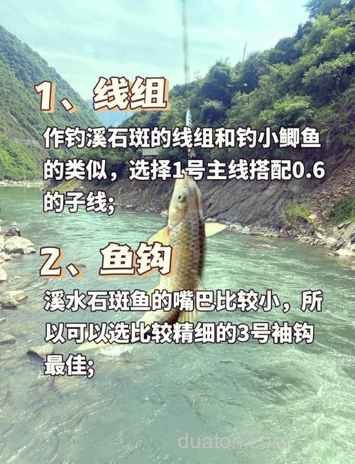 怎么钓石斑鱼最简单？