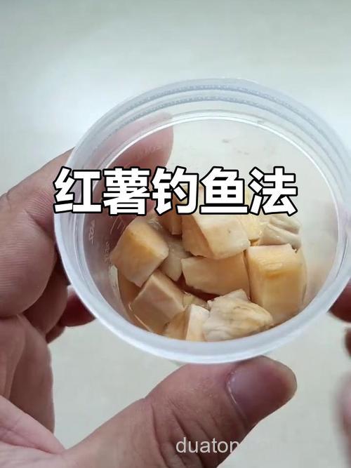 冬天红薯钓鲤鱼的正确方法?