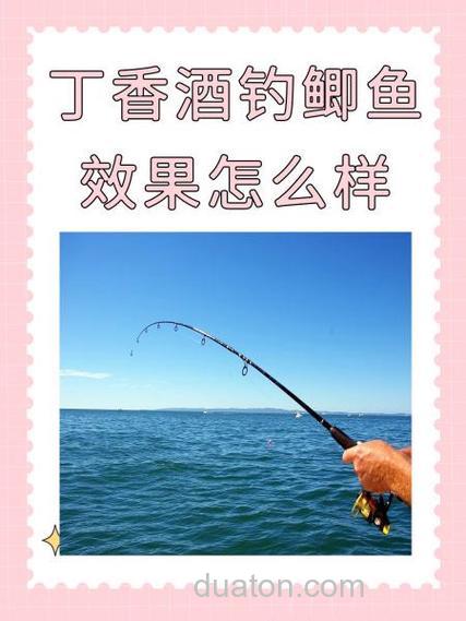 丁香酒钓鲤鱼效果怎么样?